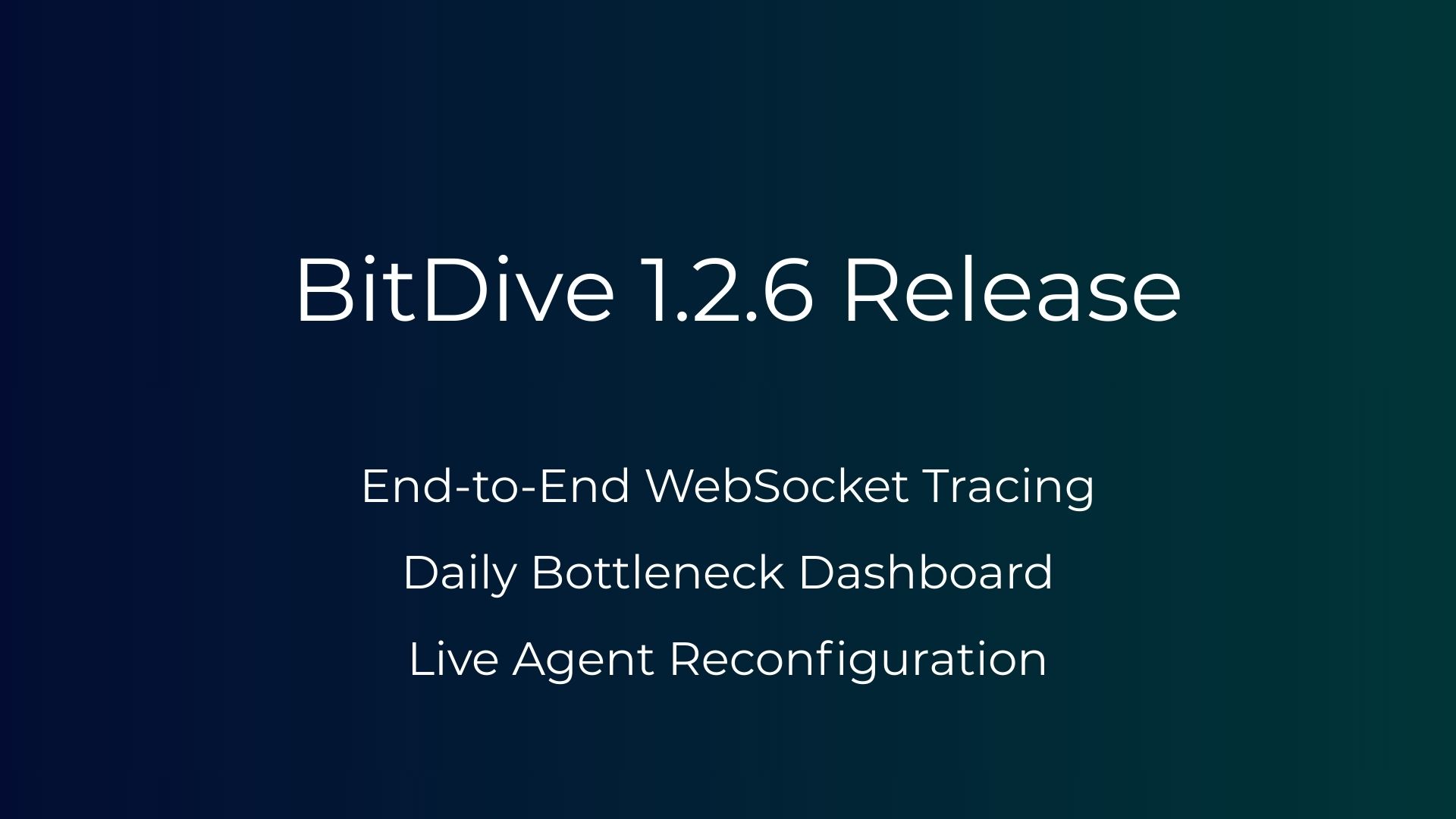 BitDive 1.2.6 Release
