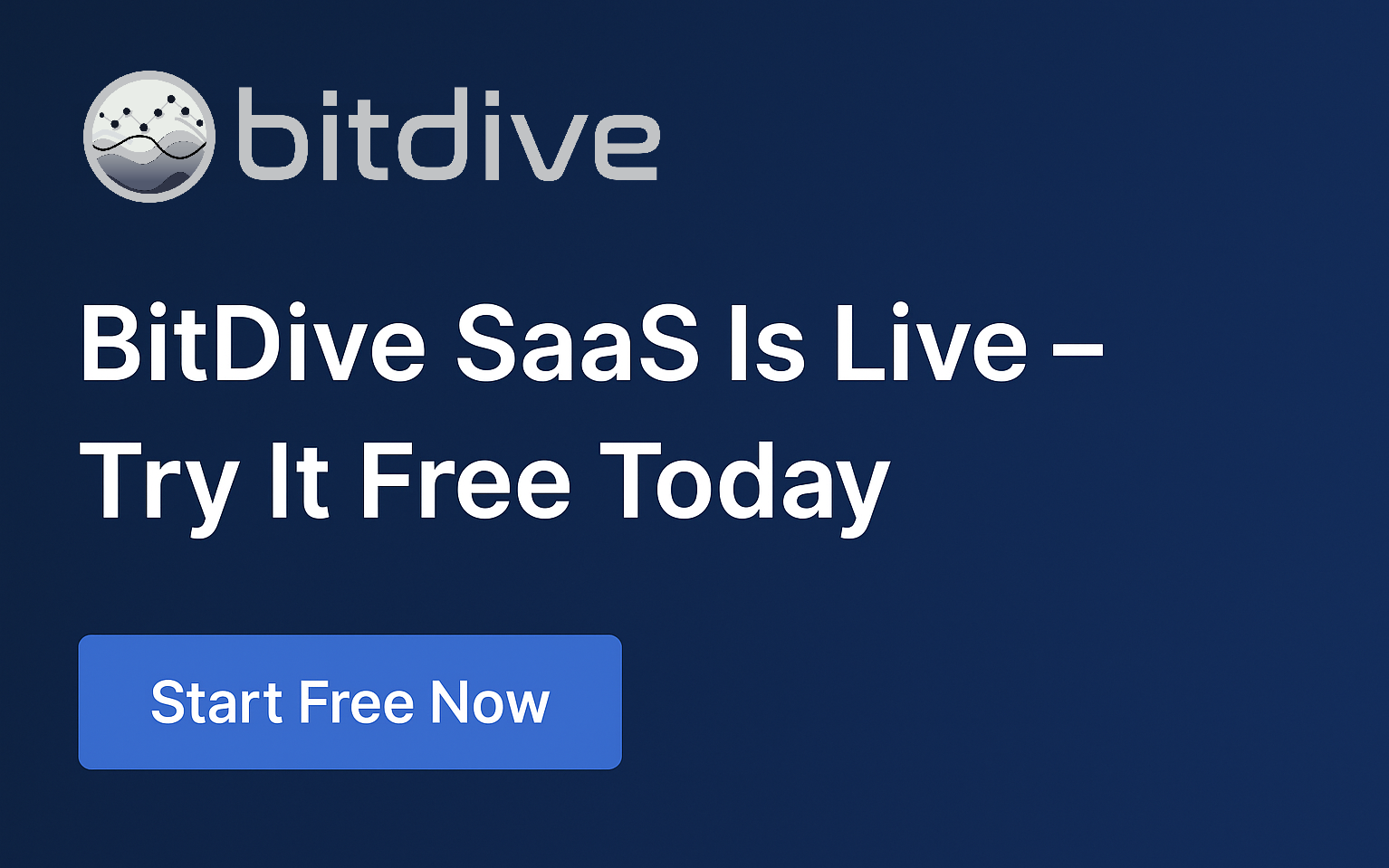 BitDive SaaS Is Live