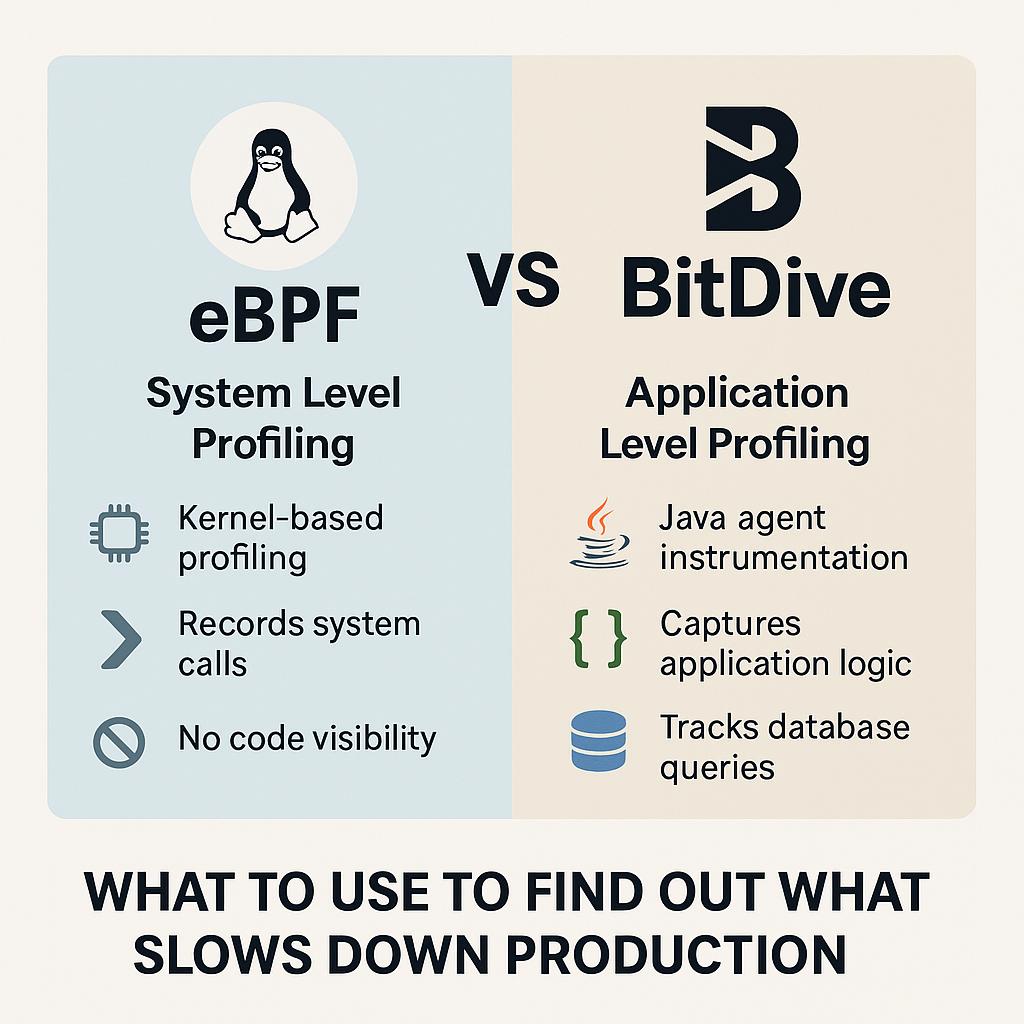 eBPF vs BitDive - Main Image