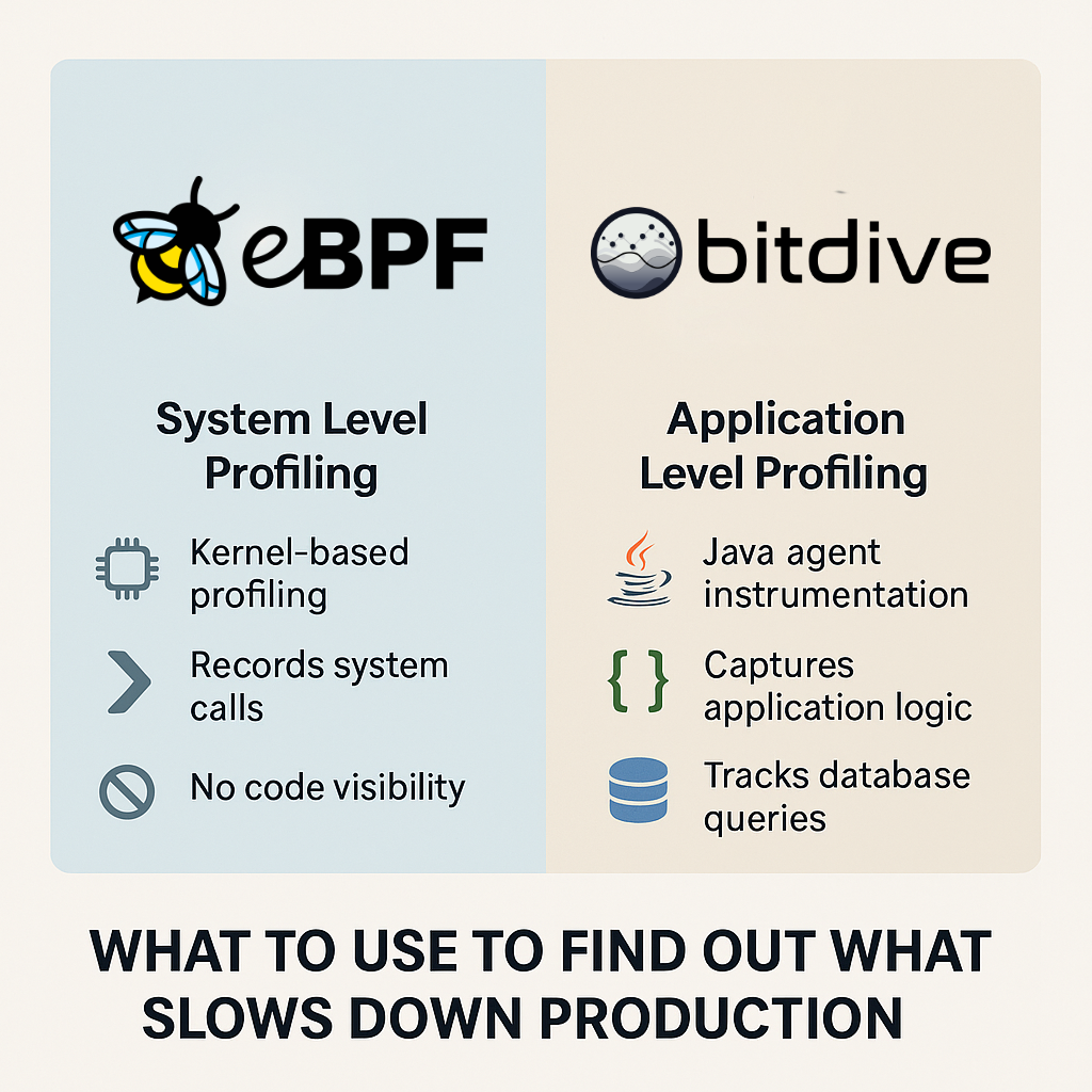eBPF vs BitDive - Main Image