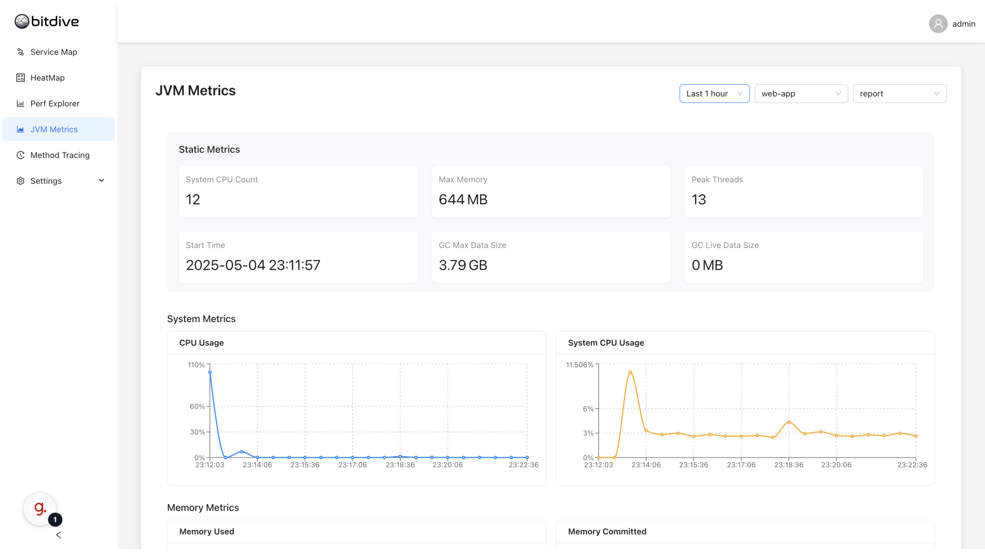 Memory metrics graphs in JVM Metrics view